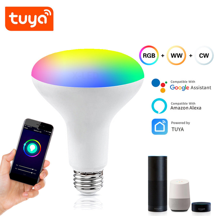 WIFI Smart BR30 Light Bulb RGBCW 13W E27