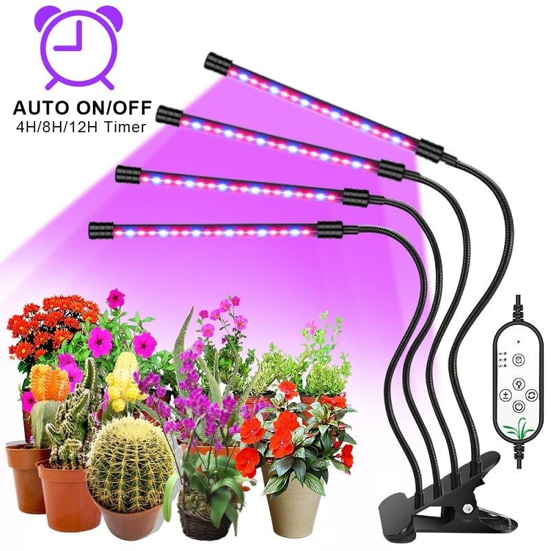 LED Grow Light USB Phyto Lamp Full Spectrum Fitolamp With Control Phytolamp For Plants Seedlings Flower Home Phytotape