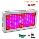 Full Spectrum 300/600/800/900/1000/1200/1800/2000W LED Grow Light 410-730nm for Indoor Plants and Flower Greenhouse Grow Tent